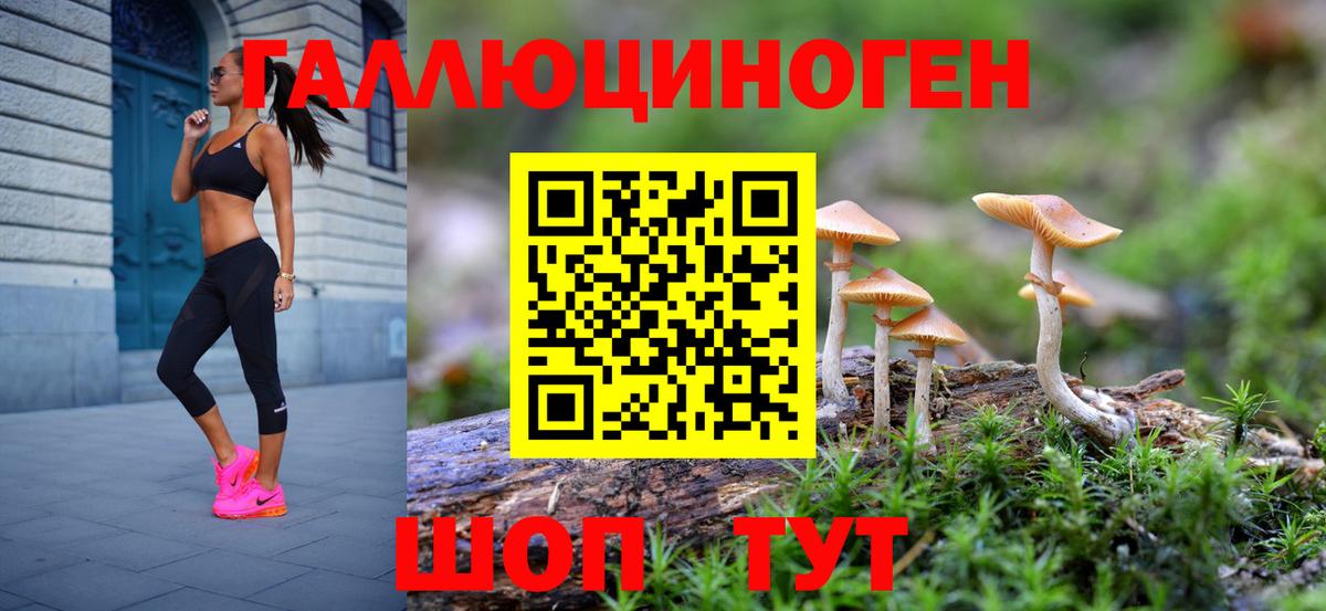 Псилоцибиновые грибы MAGIC MUSHROOMS Среднеуральск